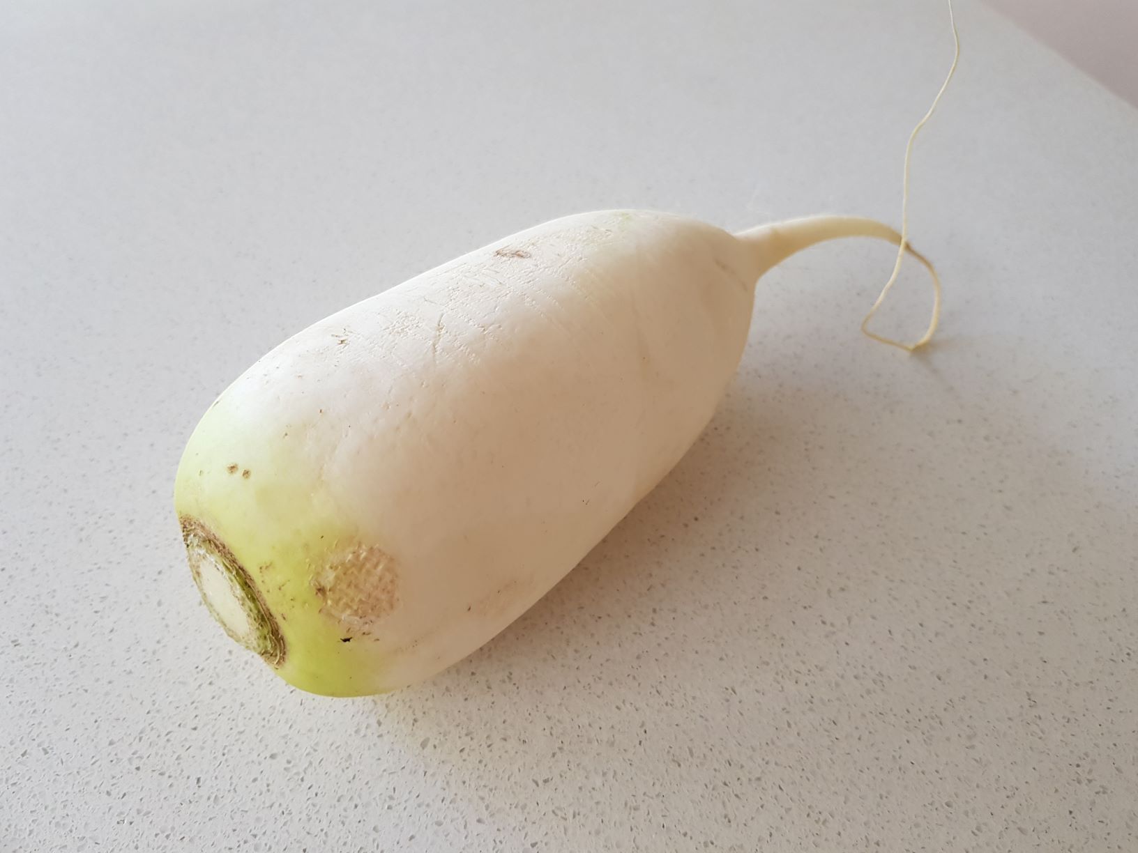 Journey to the East, Japanese home cooking recipe, Daikon white radish