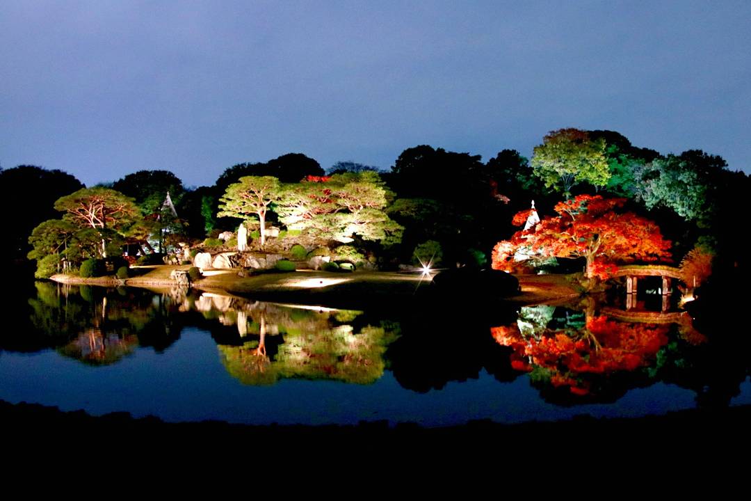 Night time light up at Rikugien Japanese garden in Tokyo in autumn