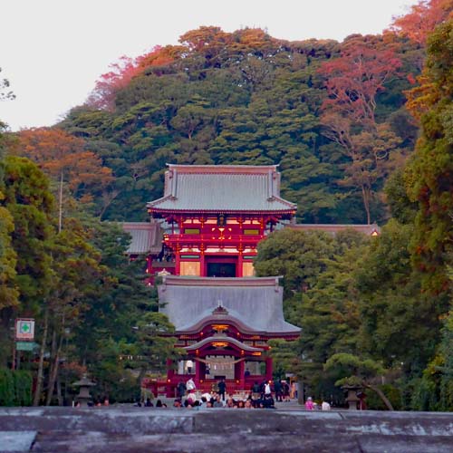 Kamakura Tsurugaoka Hachimangu Shrine